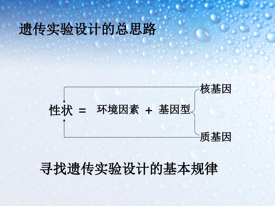 设计实验确定某基因的位置_第3页