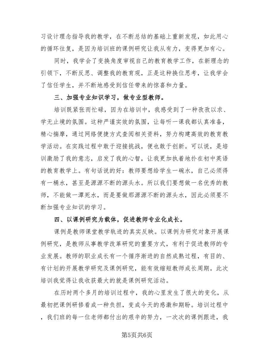 教师国培研修总结简洁版（二篇）.doc_第5页