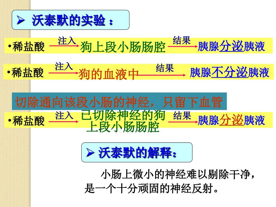 生物：2.2通过激素的调节课件(新人教版必修3)_第4页