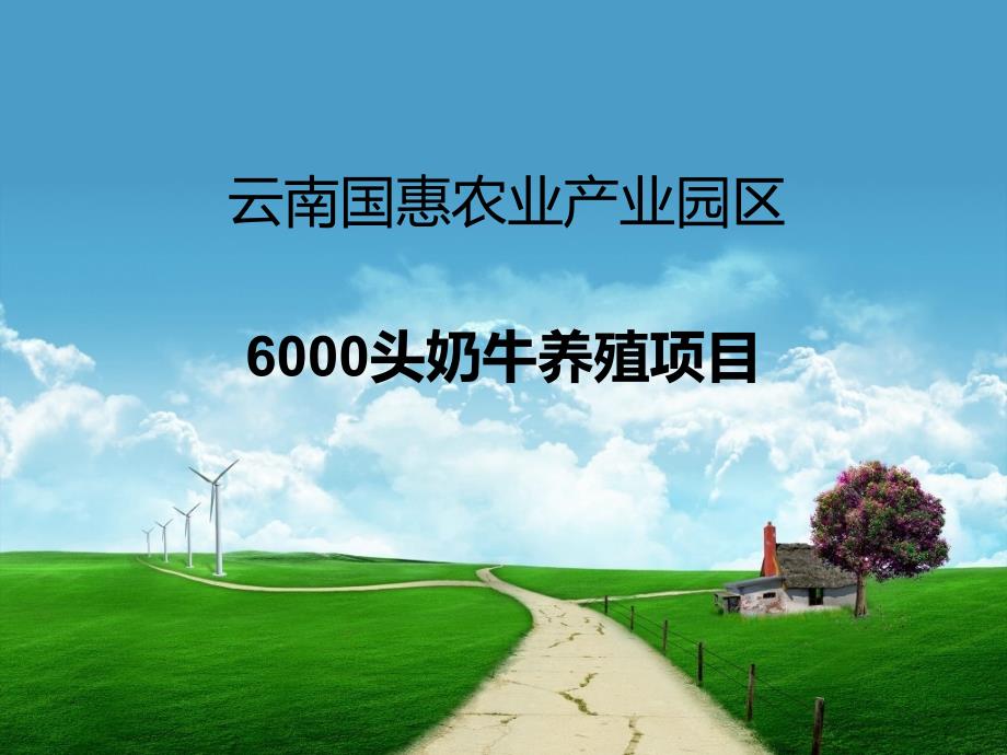 云南国惠农业园区6000头奶牛养殖项目规划设计建议书_第1页