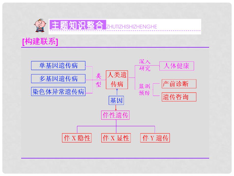 高考生物一轮复习 第三单元 生物的变异、育种和进化主题串记（三）课件 浙教版必修2_第2页