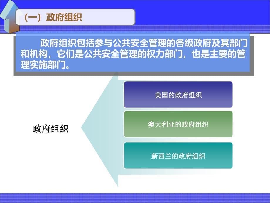 公共安全的管理组织资料课件_第5页