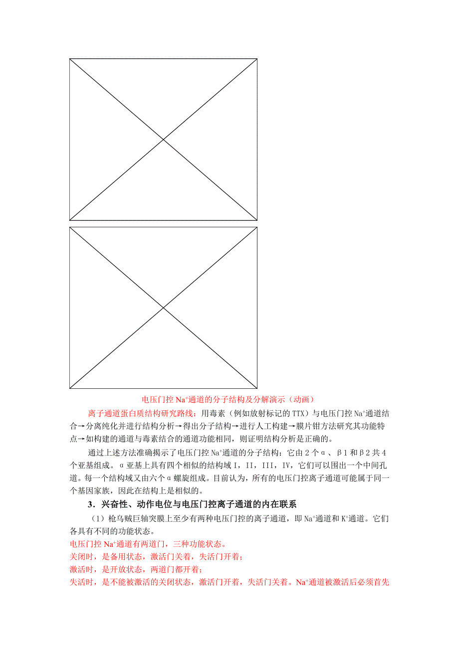 动作电位及其形成原理.doc_第4页