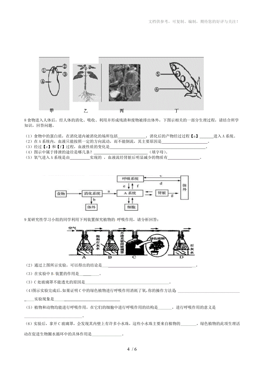 2013年黄冈市九年级生物模拟试题_第4页