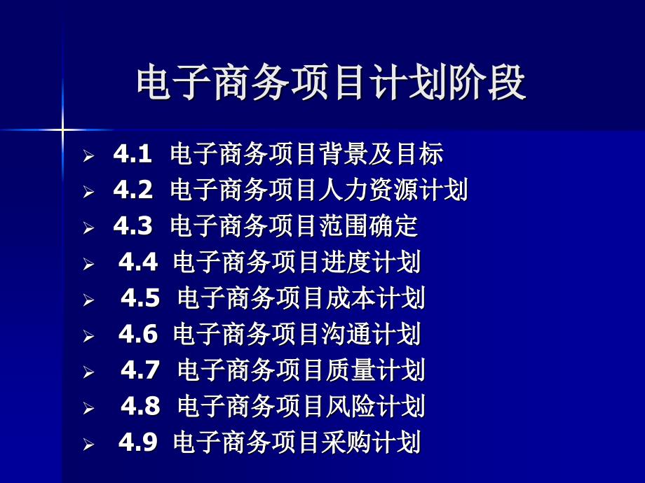 电子商务项目计划阶段_第1页