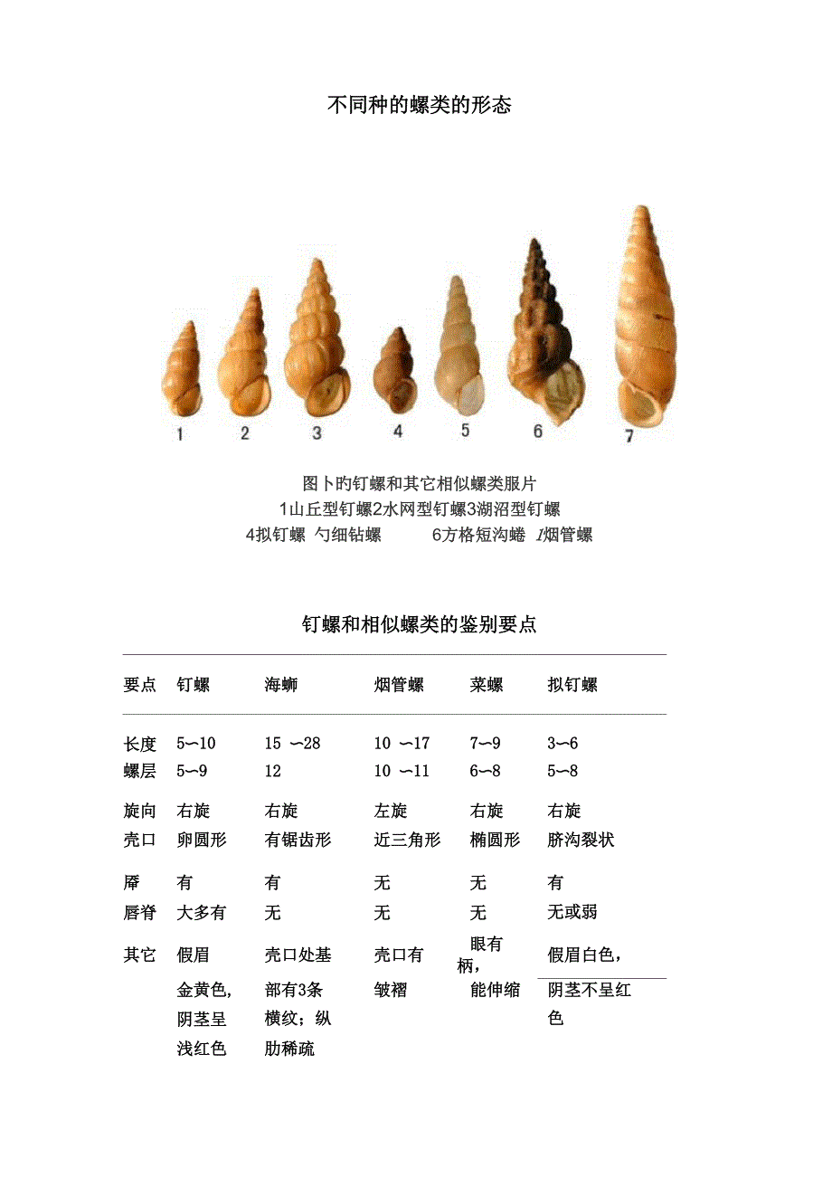 钉螺鉴别及调查方法_第2页