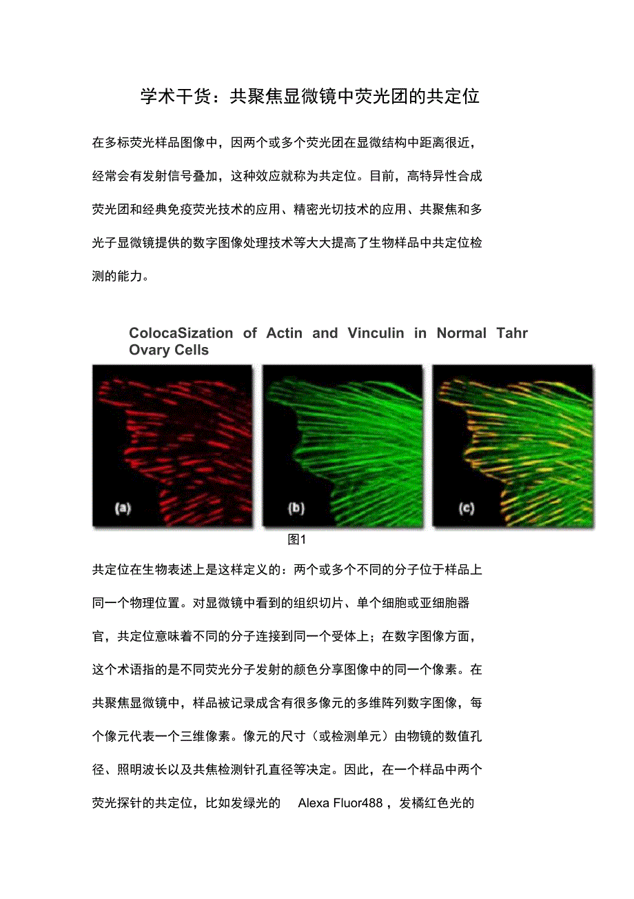 学术干货共聚焦显微镜中荧光团地共定位_第1页