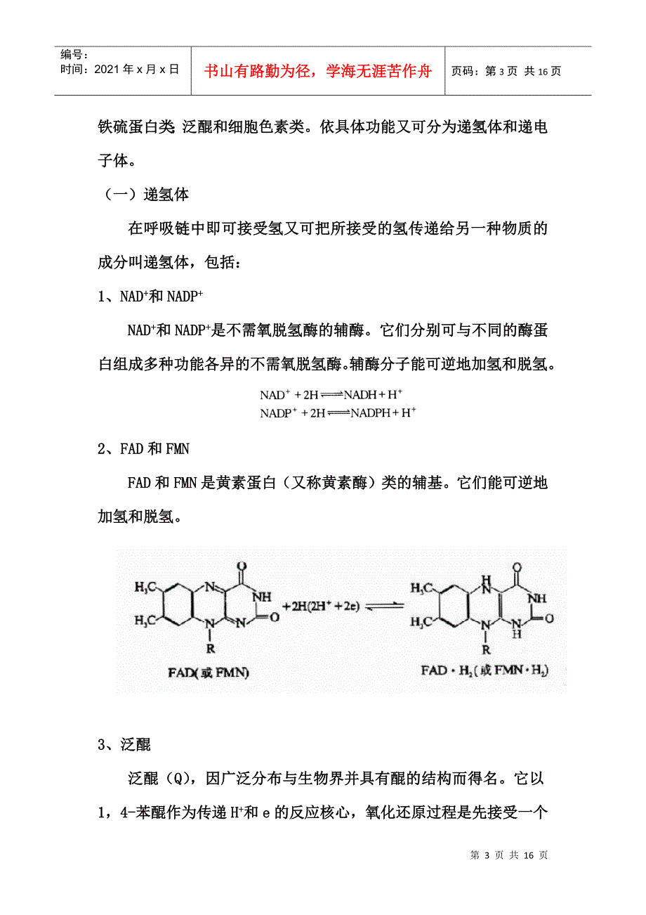 第七章生物氧化_第3页