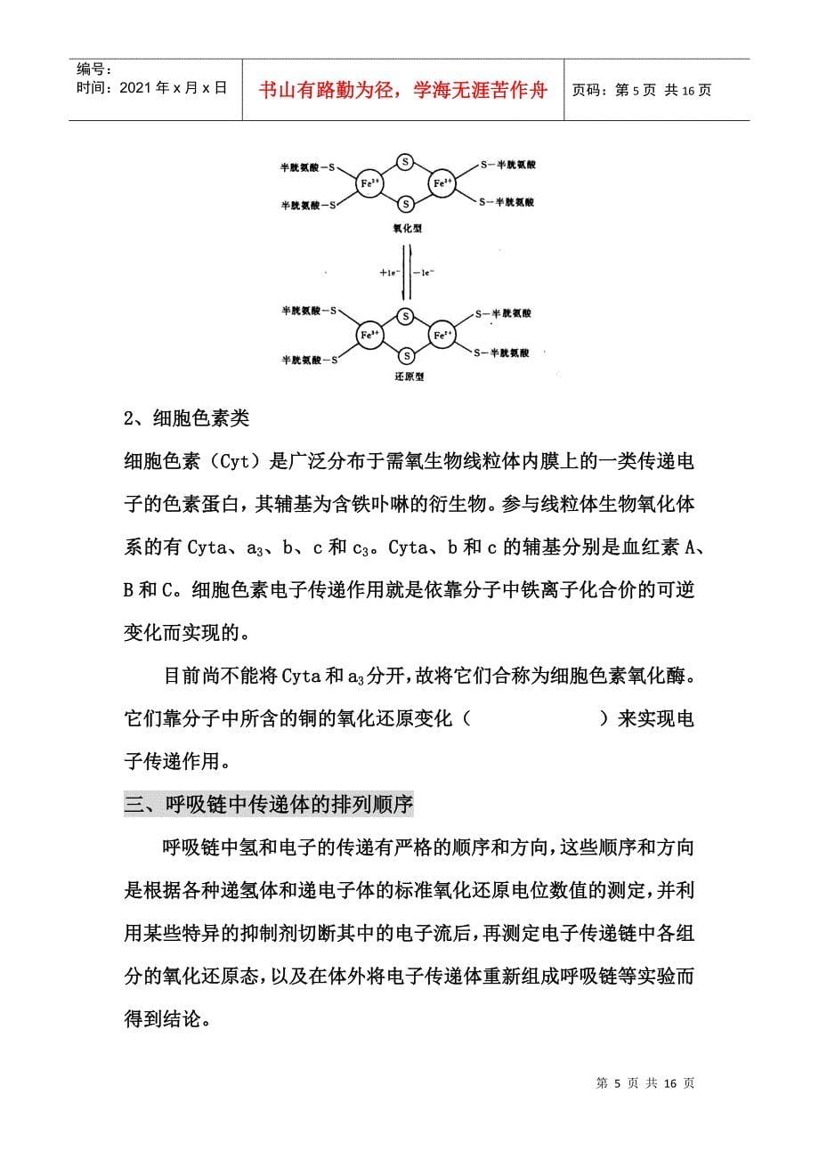 第七章生物氧化_第5页