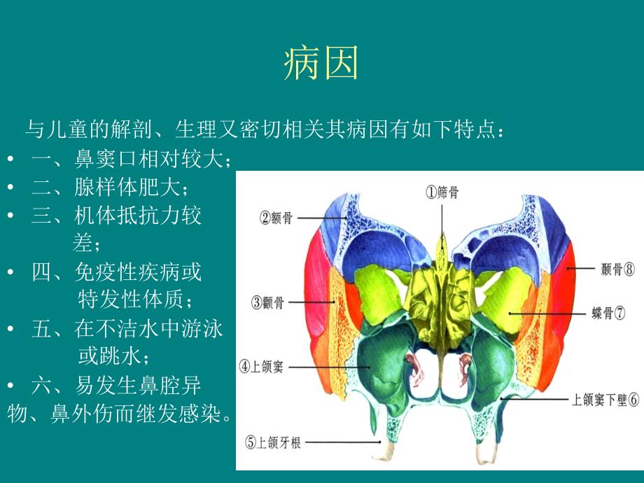 儿童鼻窦炎诊断和治疗建议2014年修订课件.ppt_第3页