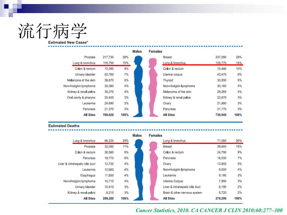 肺癌病理分类进展与临床.ppt_第2页