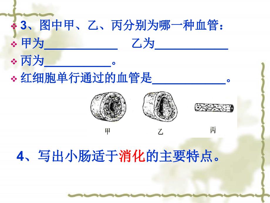 5月7日生物小考_第3页