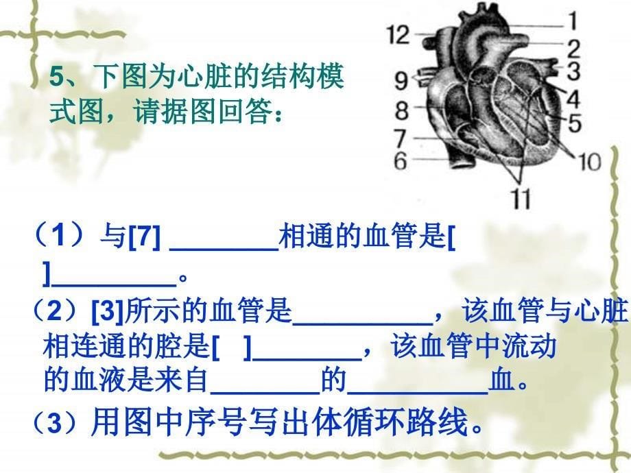 5月7日生物小考_第5页