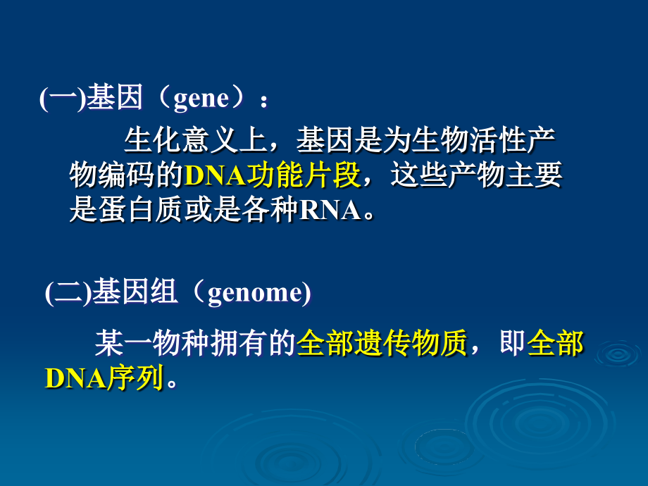 第十三章DNA的生物合成课件_第2页