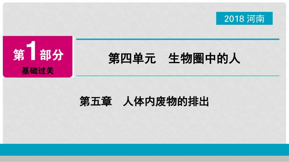 河南省中考生物总复习 第1部分 第4单元 第5章 人体内废物的排出课件_第1页