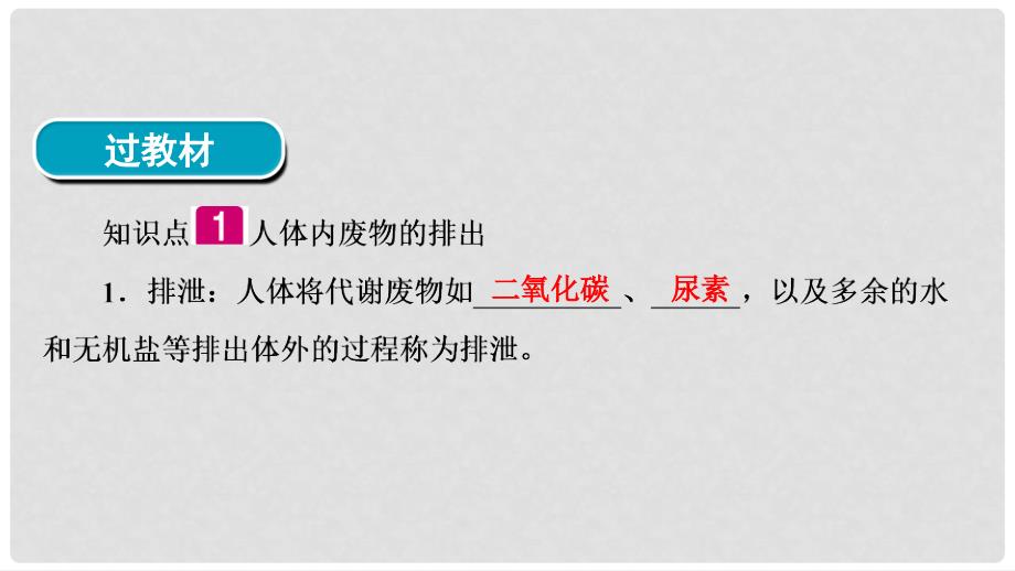 河南省中考生物总复习 第1部分 第4单元 第5章 人体内废物的排出课件_第4页