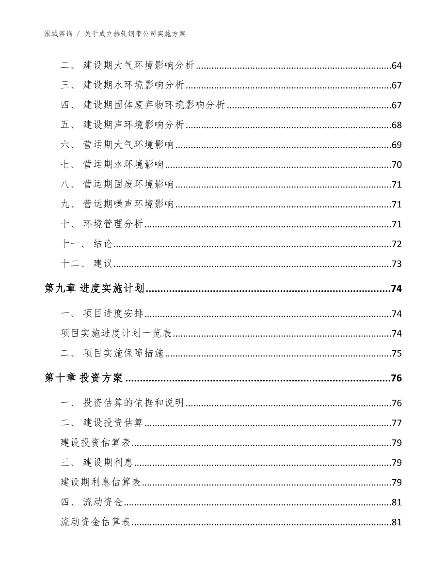 关于成立热轧钢带公司实施方案（模板）_第4页