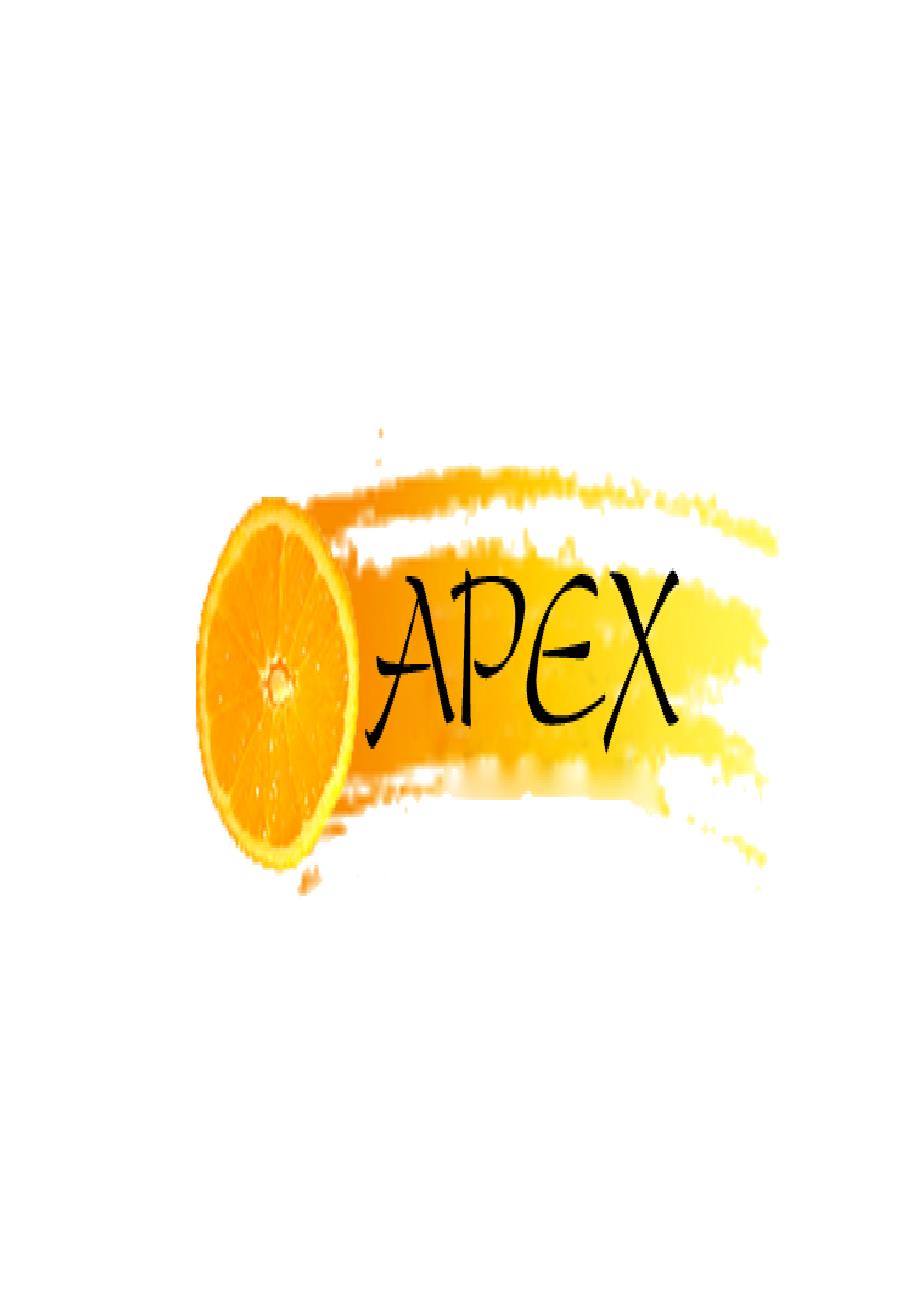 最新APEX营销策划文案WORD版汇编_第1页