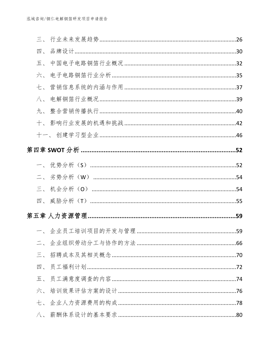 铜仁电解铜箔研发项目申请报告_第2页