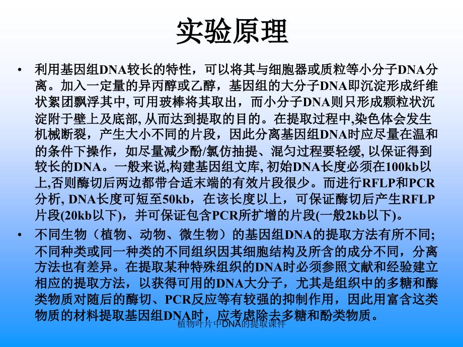 植物叶片中DNA的提取课件_第2页