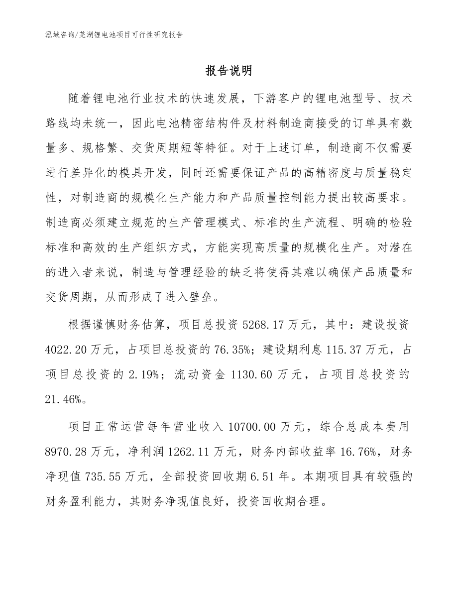 芜湖锂电池项目可行性研究报告_模板范文_第1页