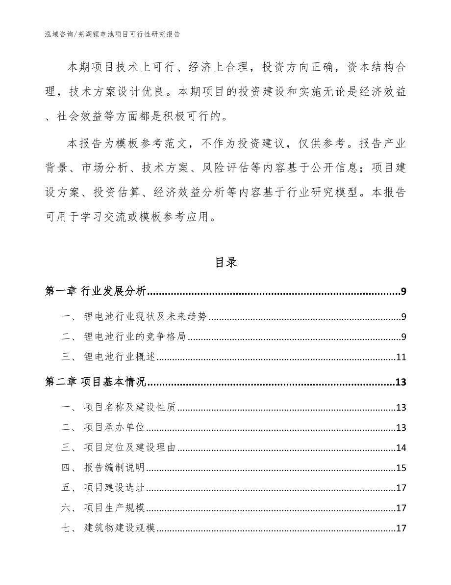芜湖锂电池项目可行性研究报告_模板范文_第2页
