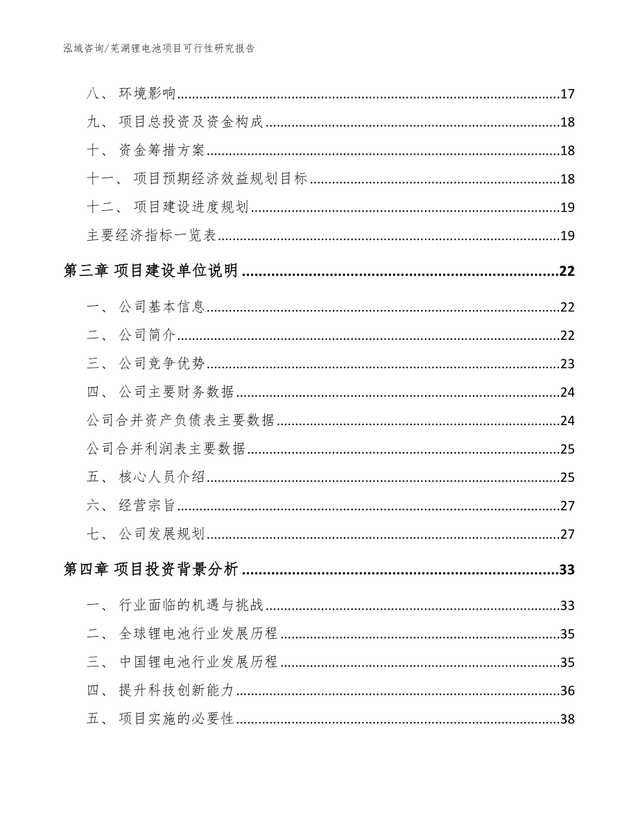 芜湖锂电池项目可行性研究报告_模板范文_第3页