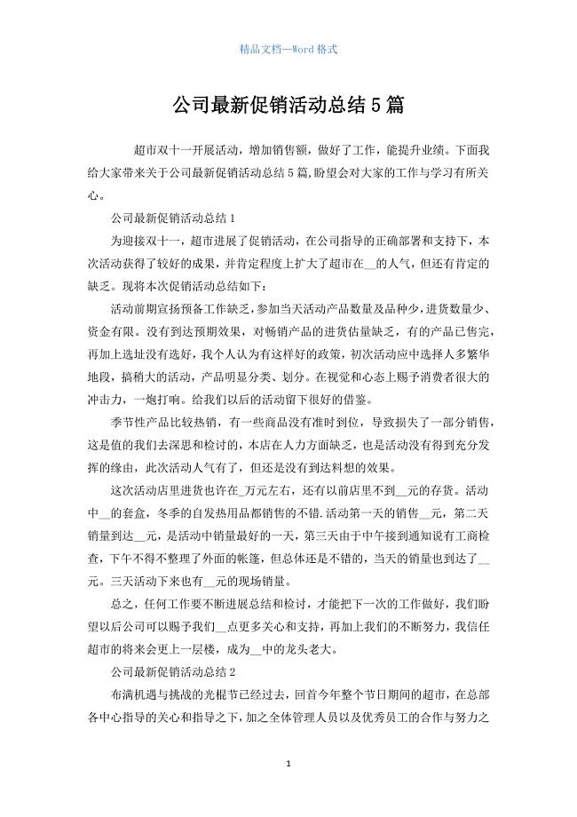 公司促销活动总结5篇.docx