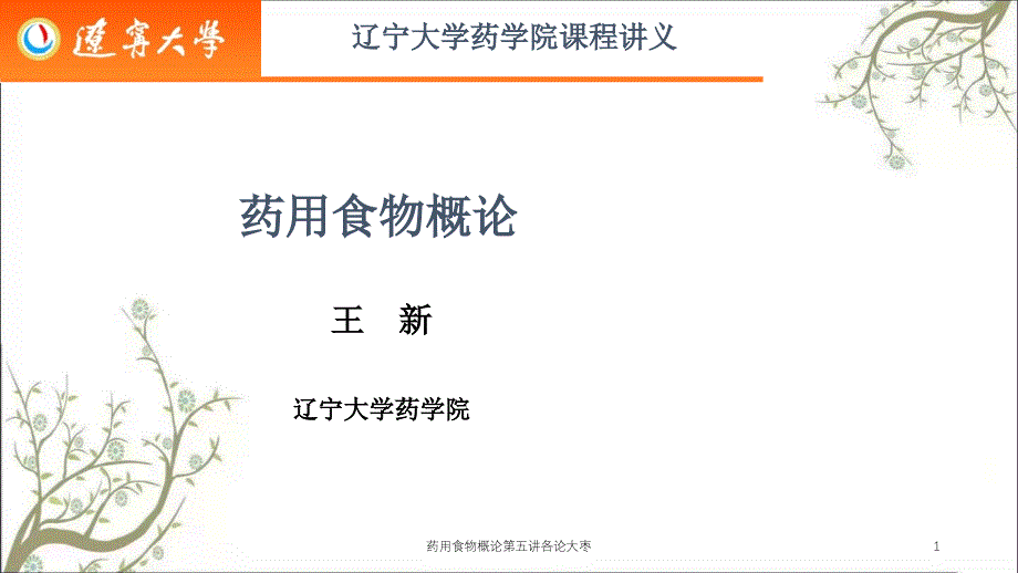 药用食物概论第五讲各论大枣课件_第1页