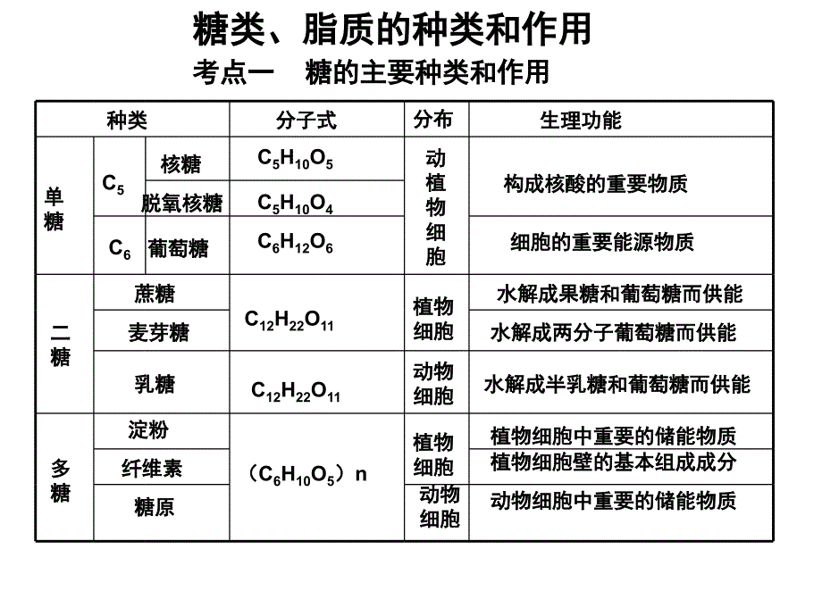 第4节糖类、脂质的种类和作用_第1页