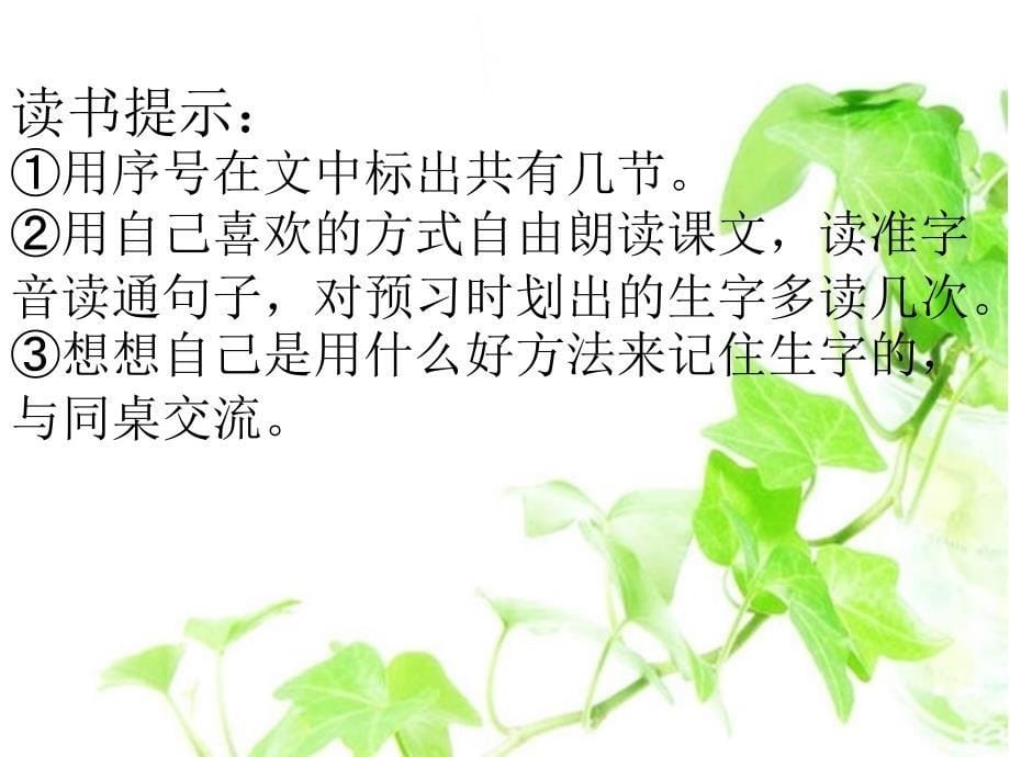 《我要的是葫芦》课件_第5页