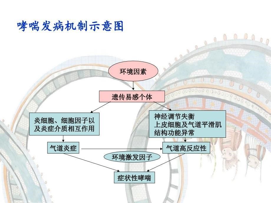 哮喘大查房PPT课件_第5页