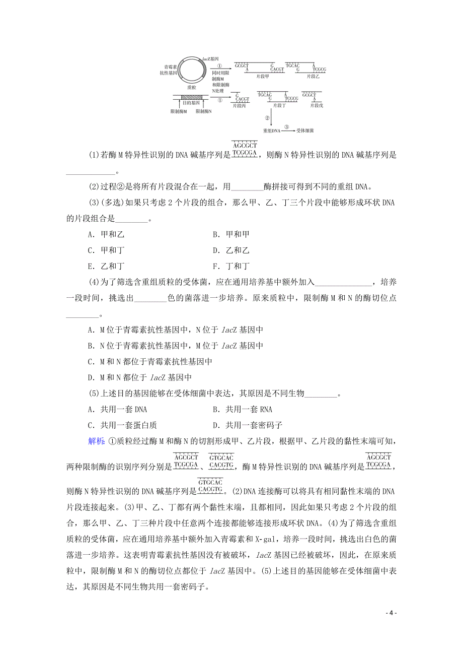 2022届新教材高考生物一轮复习知识能力提升12限制酶种类的确定及目的基因的检测与鉴定含解析.doc_第4页
