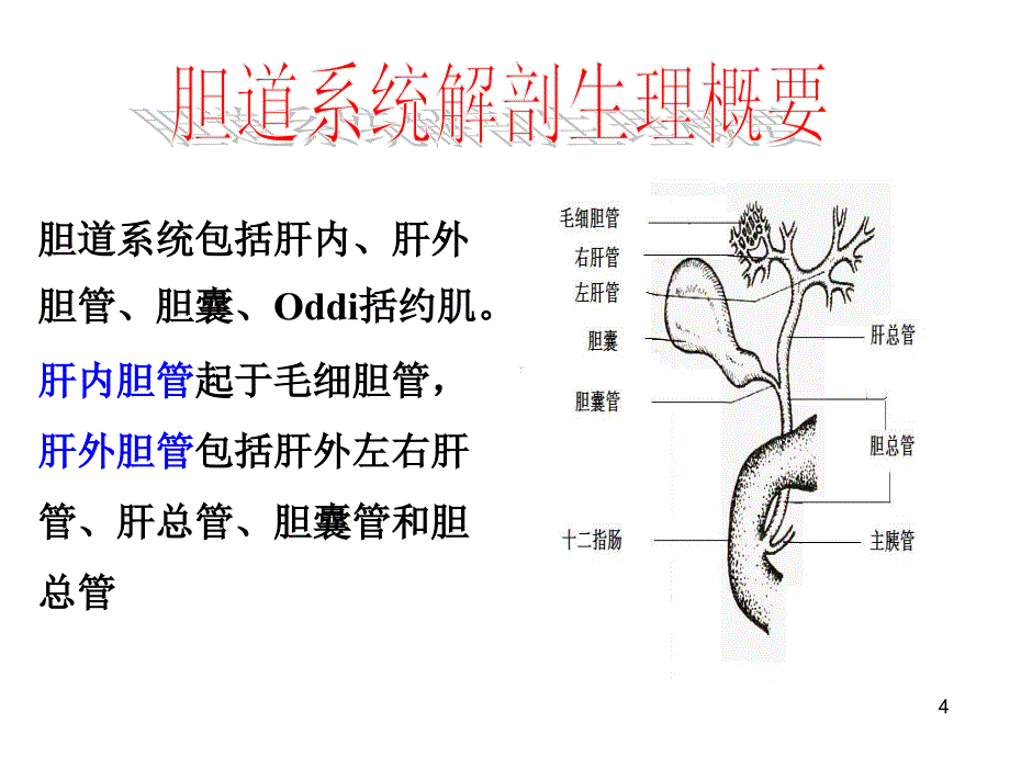 胆道疾病护理要点ppt课件_第4页