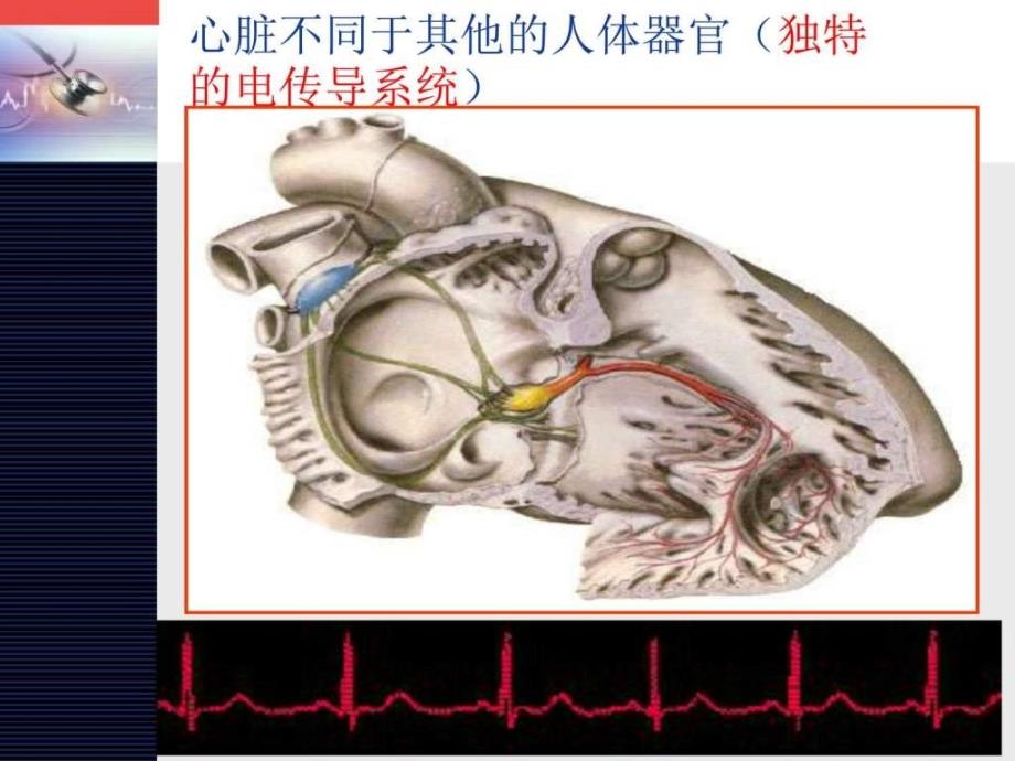 心律失常房早图文.ppt_第2页