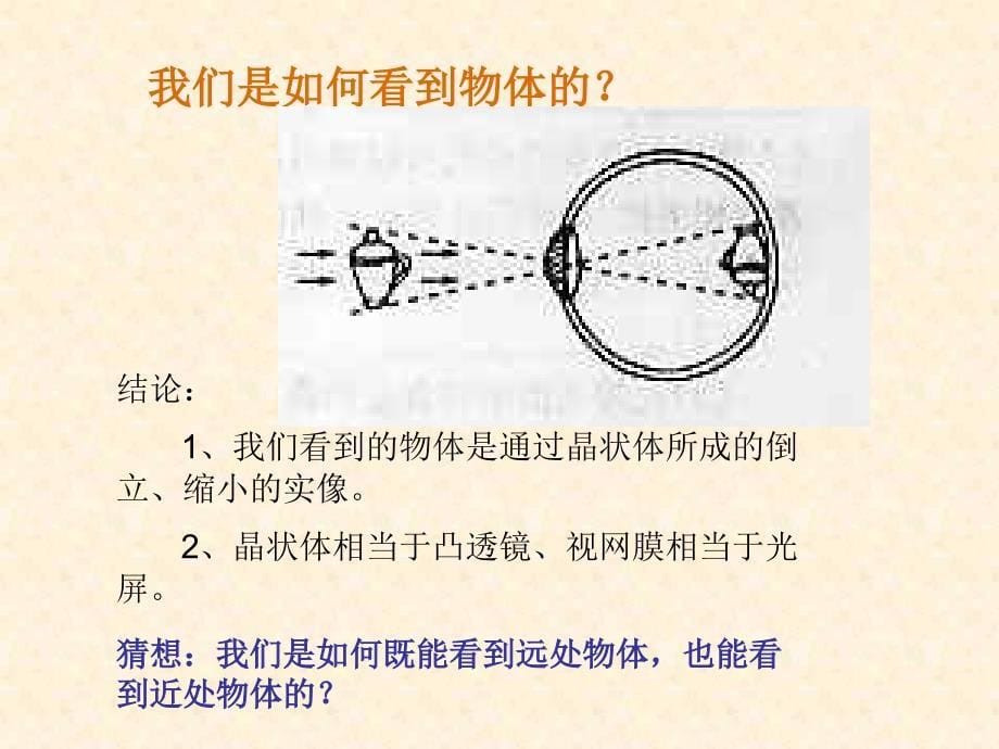 沪科版八年级物理上册46眼睛与视力矫正课件2_第5页