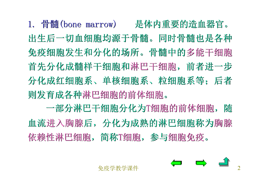 第四章免疫系统_第2页