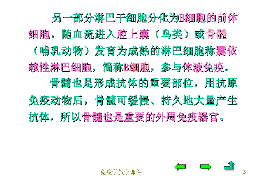 第四章免疫系统_第3页