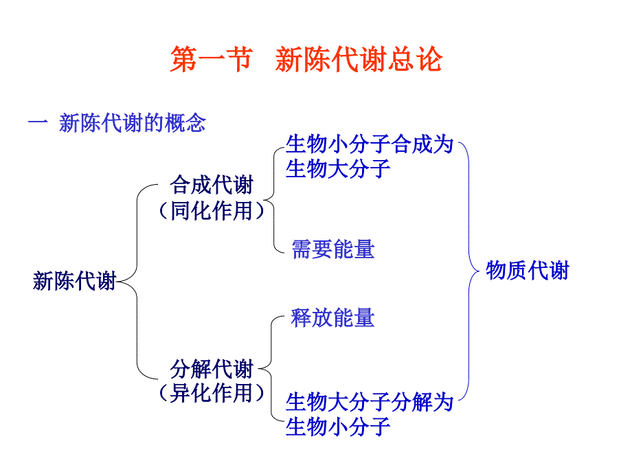 第五章新陈代谢总论与生物氧化_第2页