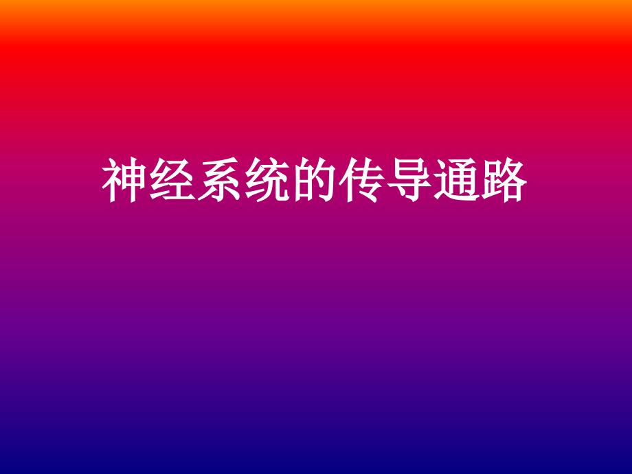 传导通路课件_第1页