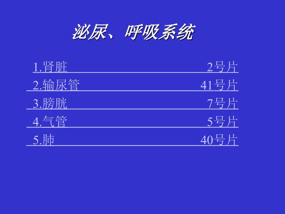 组织学与胚胎学实验课课件：11 泌尿、呼吸系统_第1页