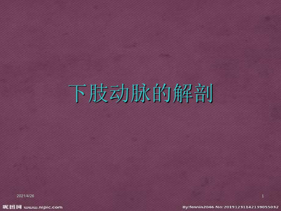 解剖学-下肢动脉教学课件_第1页