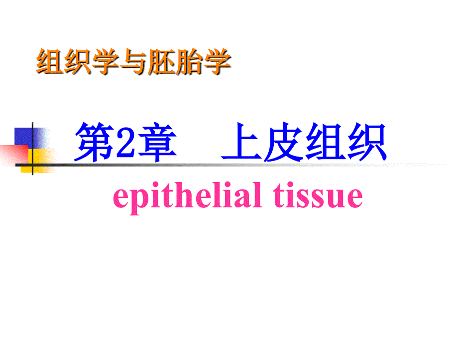 组织学与胚胎学：第2章 上皮组织_第1页