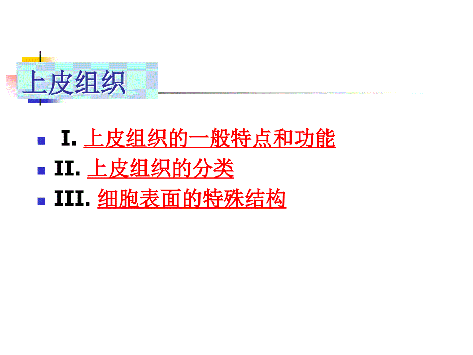 组织学与胚胎学：第2章 上皮组织_第2页