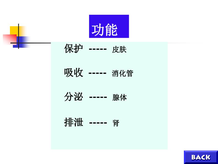 组织学与胚胎学：第2章 上皮组织_第4页