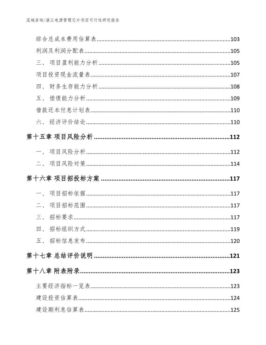 湛江电源管理芯片项目可行性研究报告（模板参考）_第5页