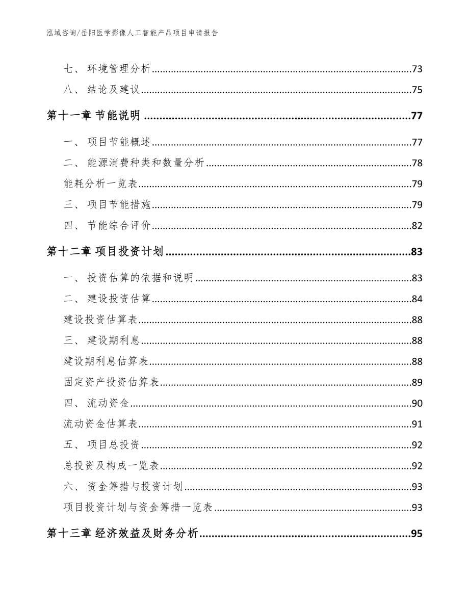 岳阳医学影像人工智能产品项目申请报告范文模板_第5页