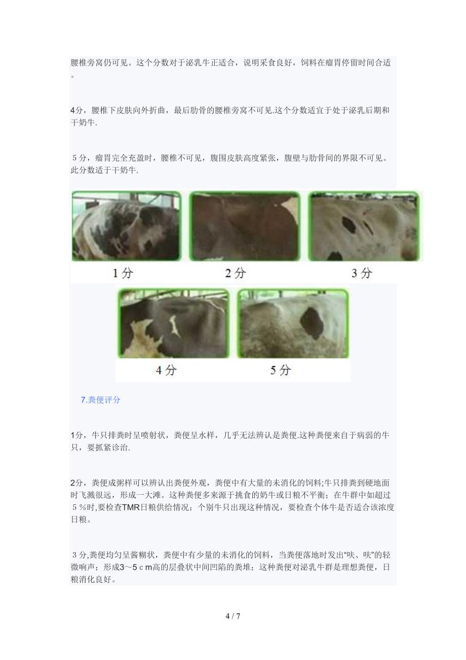 成母牛群现场关键点观察_第4页