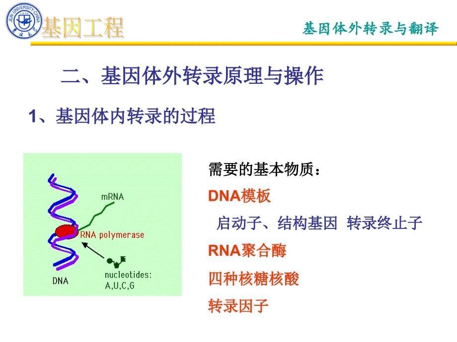 体外转录与翻译课件_第5页