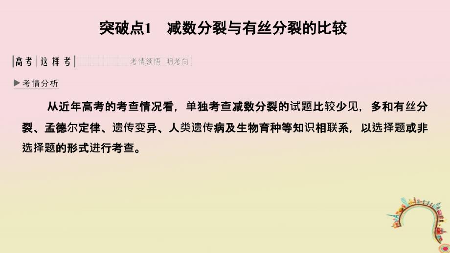 生物第五单元 细胞的生命历程 加强课2 减数分裂与有丝分裂的比较及减数分裂与可遗传变异的关系创新备考 中图版_第2页